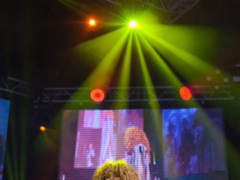 tina turner tribute